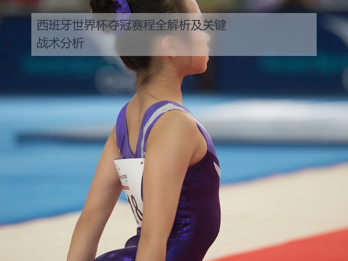 西班牙世界杯夺冠赛程全解析及关键战术分析